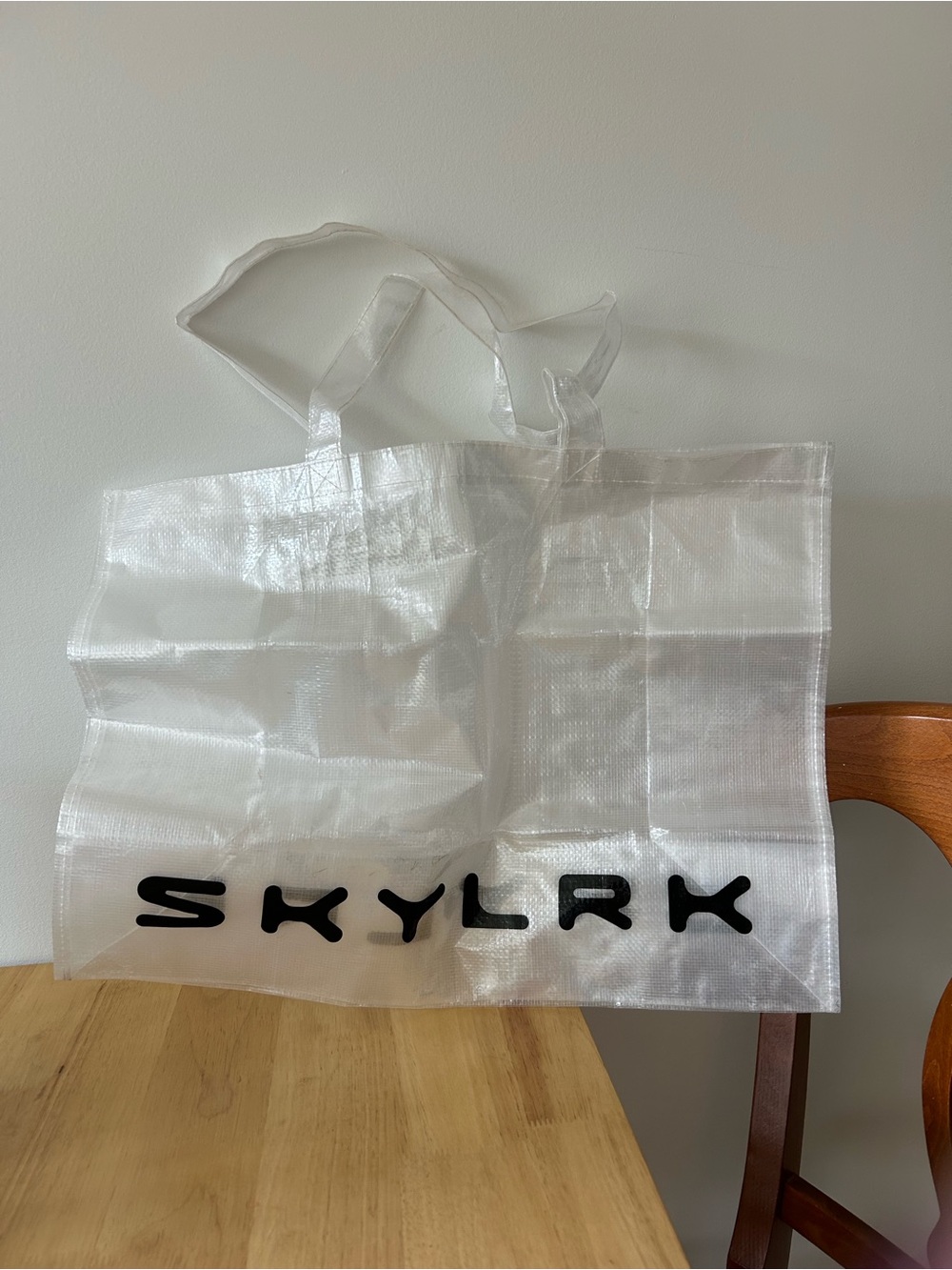 Justin Bieber Coachella Merch Skylrk bag